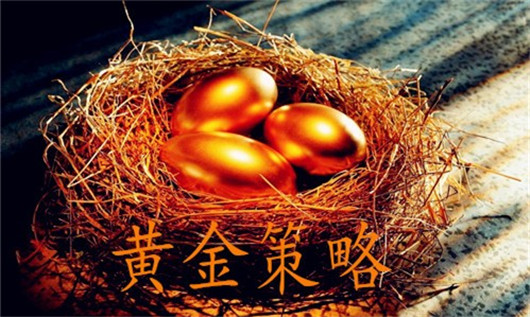 地方新闻 第51页