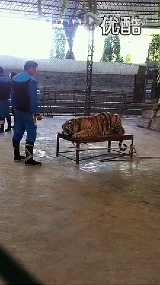 游戏专题 第4页